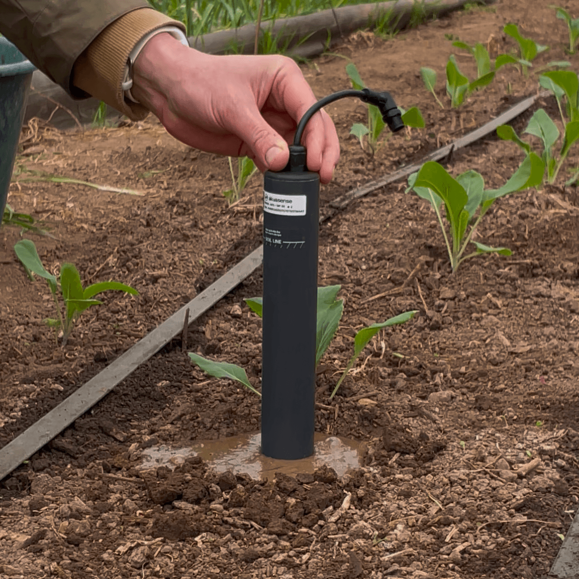 Sonde AKS MP 30