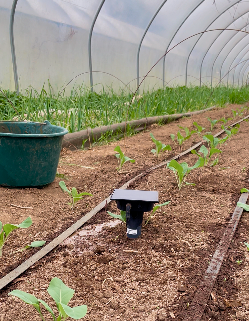 Sonde equipee avec boitier et accessoires