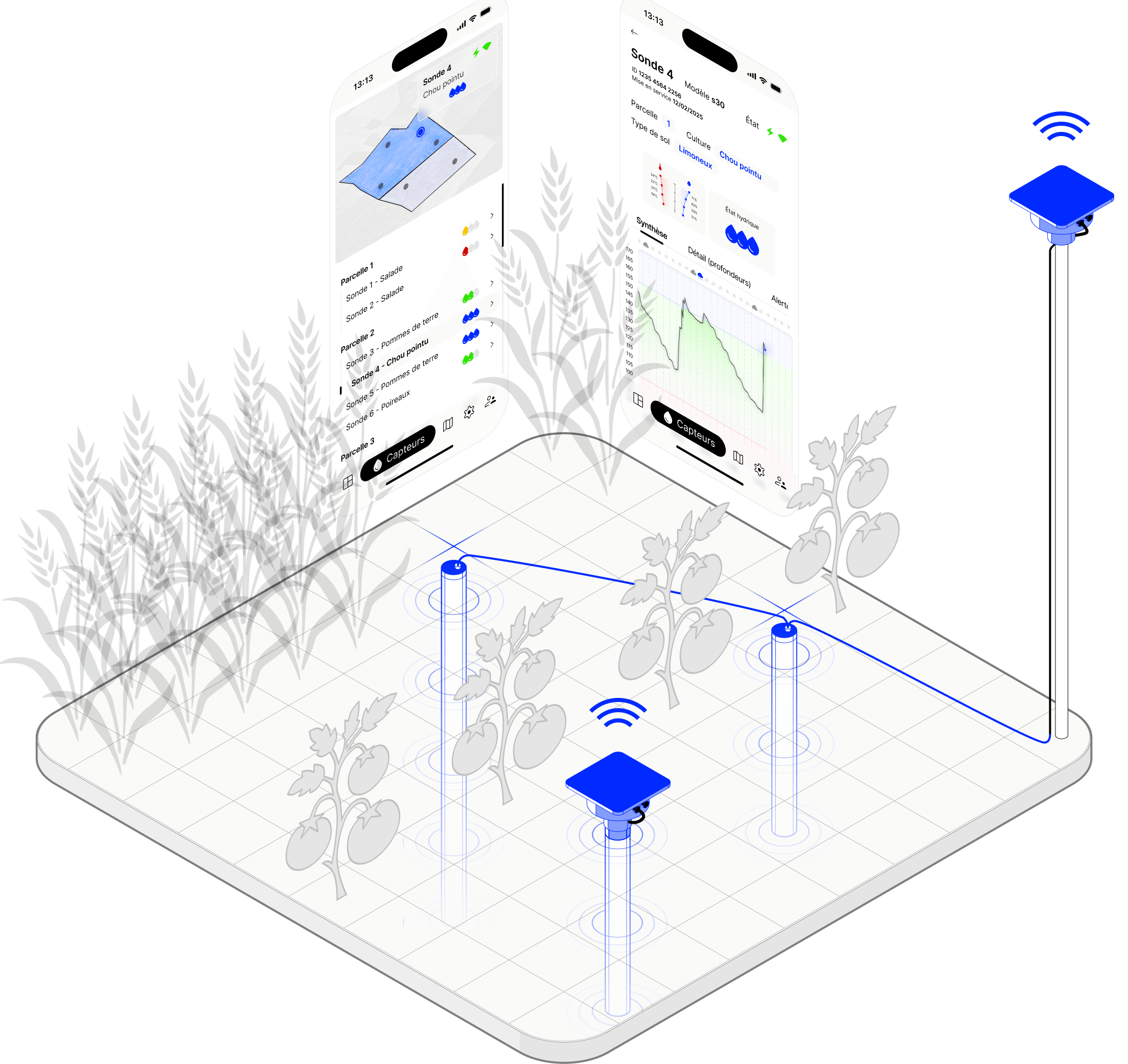 Showroom Akuasense Moisture Probes